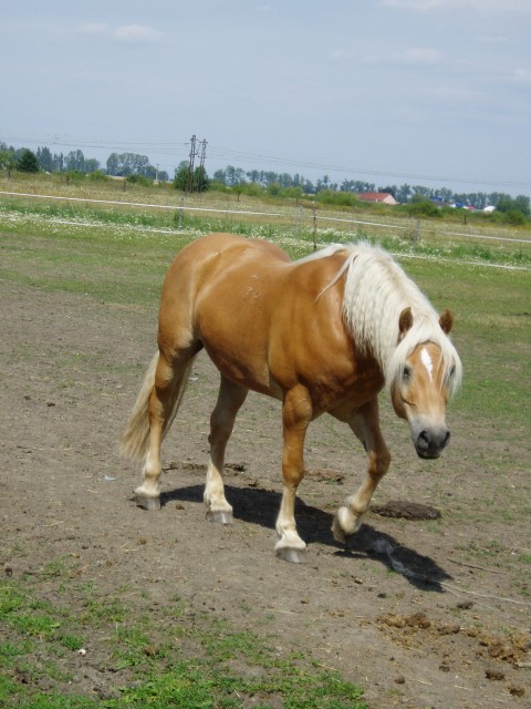 b3_849.jpg
