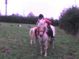 DSC05373.JPG