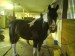 DSC01016.JPG