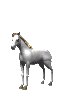 9bad0842c3_4844253_o2.gif